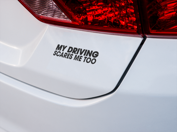 My Driving Scares Me Too - Image 4