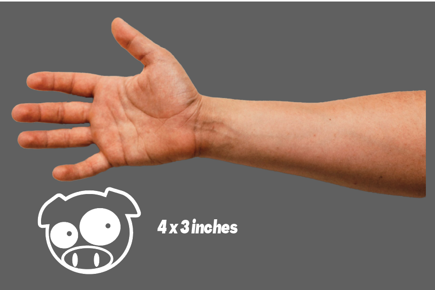 Subaru Mascot - Image 2